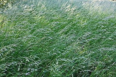 EA确认EA Play Live不会公布新的《星战》 可能要到明年5月